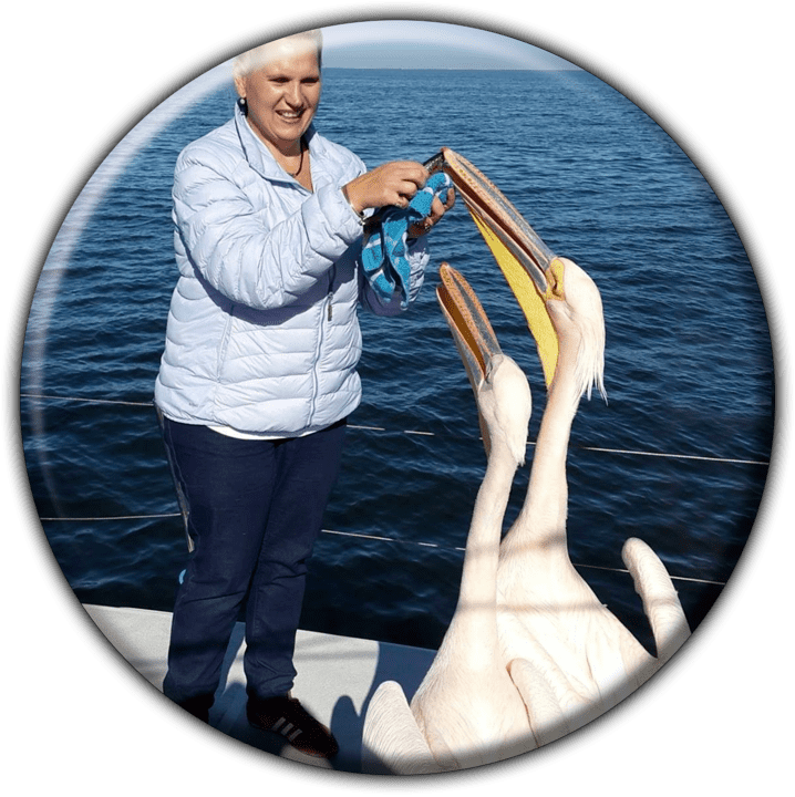Namibia Dolphin and Seal Catamaran Cruises (Walvis Bay) - Adventure Sports in Henties Bay, Namibia