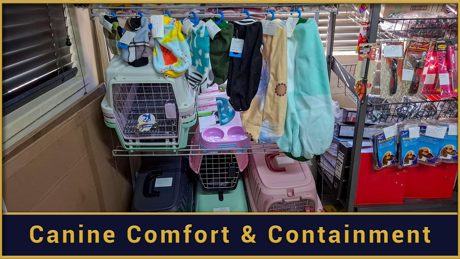 Canine Comfort and Containment